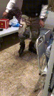 同九年，汝何秀？