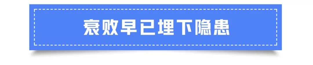 不仅仅是虚报车价，原来新能源车“骗补贴”还有这些花招！