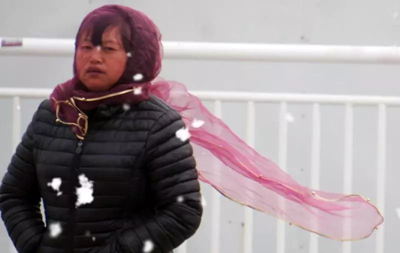 天津易敏人群注意!外出做好防护 飞絮即将进入