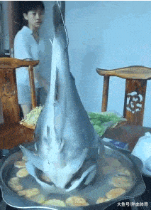 ˼Ҫϴ㿴ʲô ͼ Ǹٵ