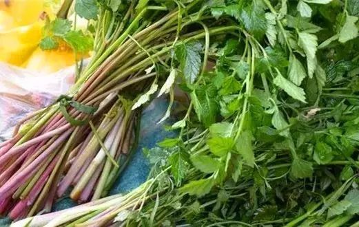 余庆有多少人口_积善之家有余庆图片(3)