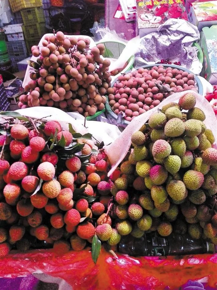 深圳荔枝大丰收啦!这个月份吃口味最佳!|海南|荔