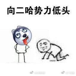 �������˽�����û��ת�˵��� ����һ��2��13�������