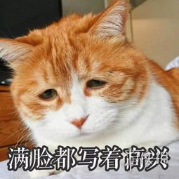 �����������š���68�ڣ�360��ȫ��λ���VR�˽�һ��