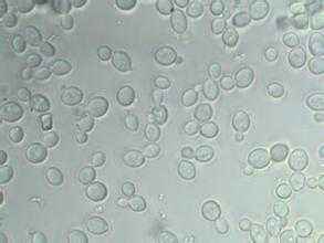 早参丨中日重启部长级“经济高层对话”;“澳大利亚周”将在华举办;印度请中国为其火车提速