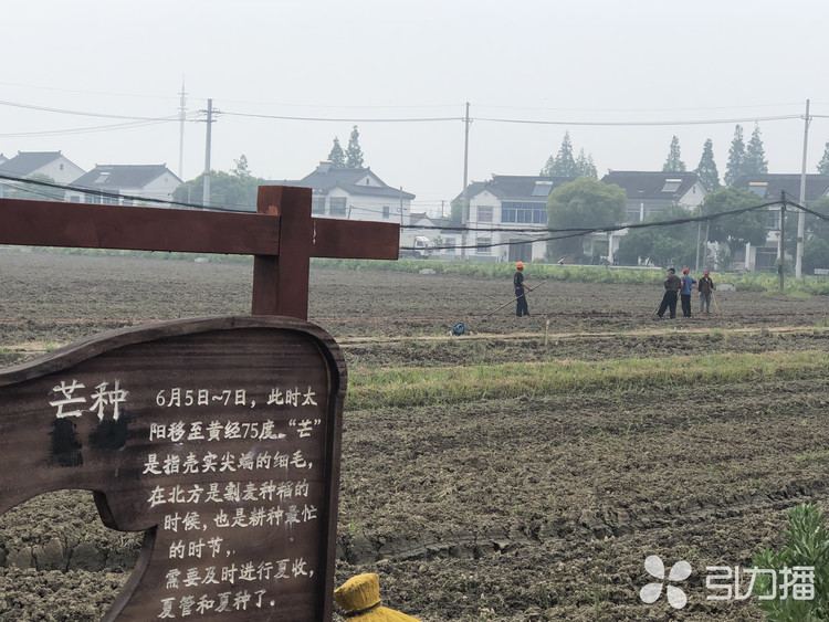 苏州三高一美推动农业高质量发展