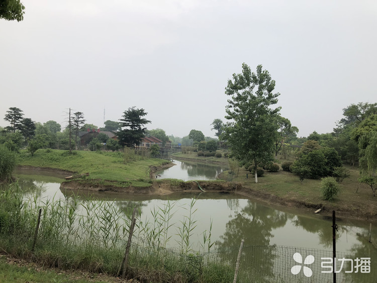 苏州三高一美推动农业高质量发展