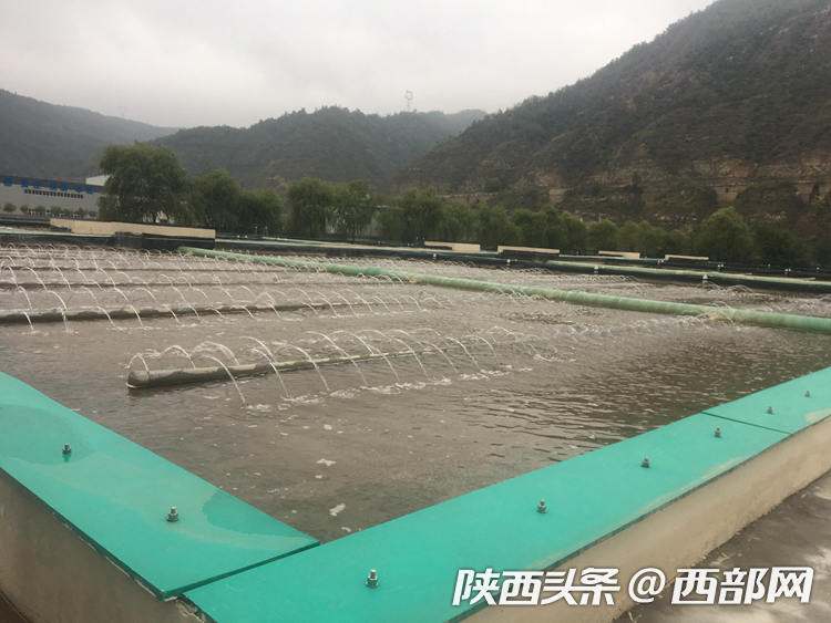 延安市区人口有多少(3)