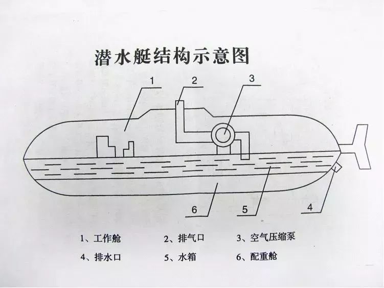 《潜艇构造》是必学的一门公共课.