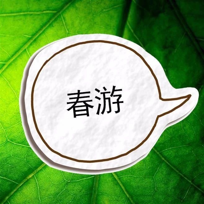 不负春光！电动邦招募8组荣威ERX5车友畅享春游！