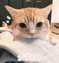 萌宠表情包|喵喵,别的小朋友都有零花钱,就我没有!