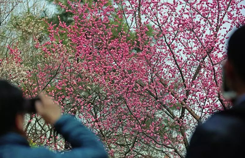 本周我省天气前热后冷 西安最高温或突破30