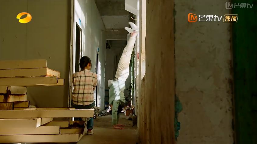 会烧上海本帮菜的董杉菜和“品学兼优”的新版F4，你会pick吗？