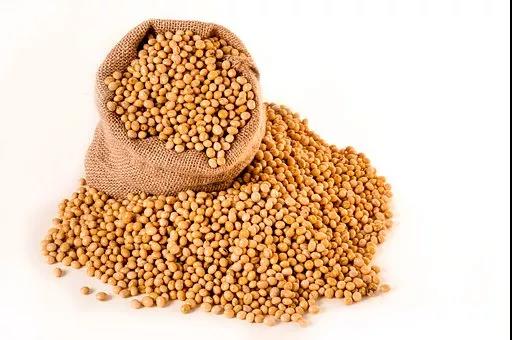 大豆马上就要涨价!因为国家要对美国大豆要收
