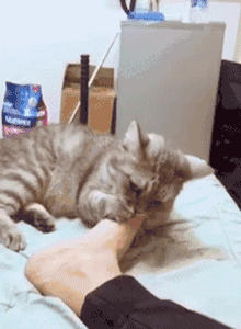 时间久了,脚闷在里面很容易出汗,越出汗,脚越冷,最终陷入了一个死循环