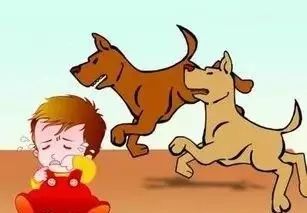 监控曝光!合肥1岁半男童小区里半张脸被狗咬烂