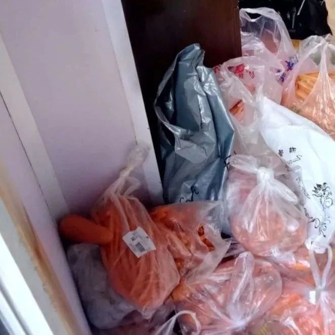 森林动物园兔子隔三差五被撑死,鸵鸟体内发现了…|新闻日志