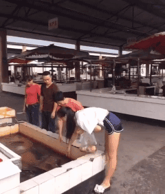 最新一期内涵爆笑动图 门口趴了一美女,要捡回家吗?