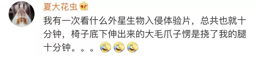 4D电影原来这么“猛”的吗？网友说那是“毕生最傻的一刻”......