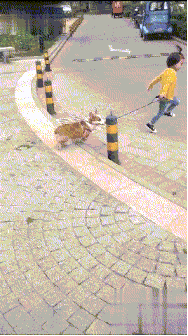 都说了别做我女朋友，你还这么犟！