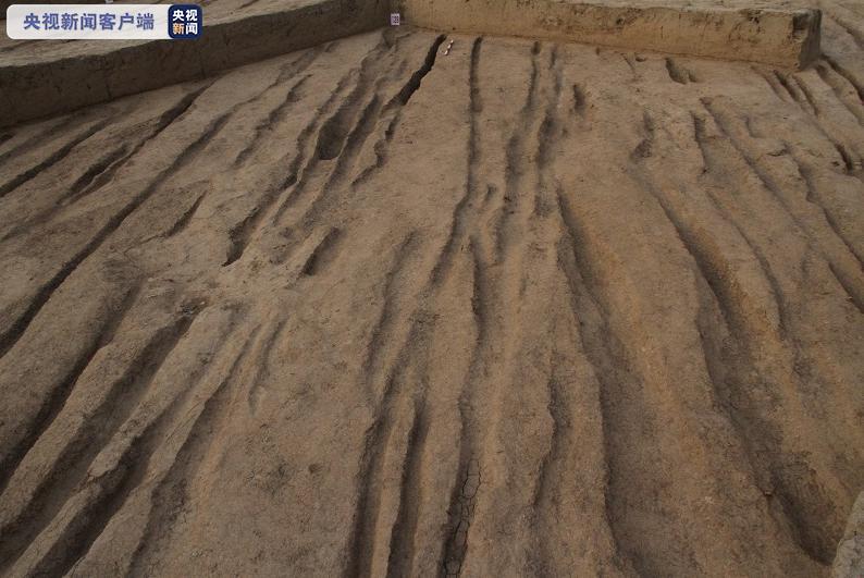 西安新寺遗址周边发现古道路 或与西汉长门宫有