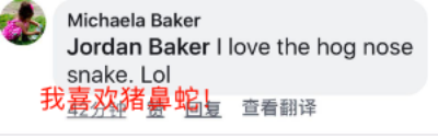 图片 13