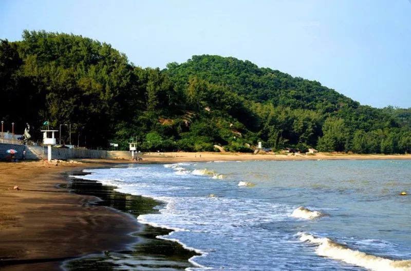 广州到澳门只需1小时,新高铁来了!还有自驾游