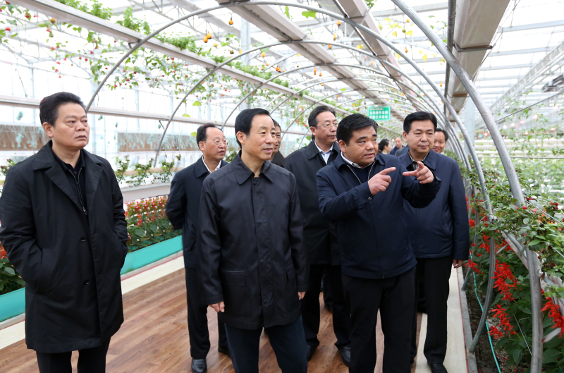 九丰农业董事长_农业银行图片