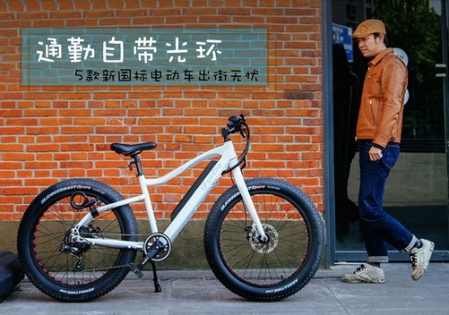 非凡电动自行车 ViLL-fzrwiaz6249793.jpg