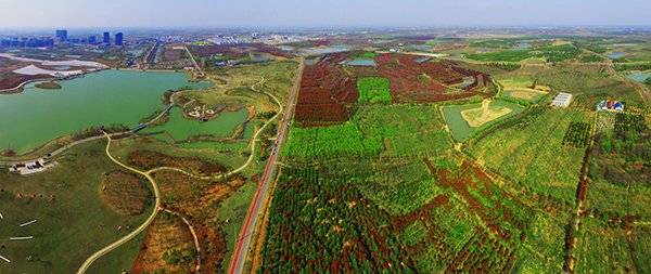 郡县之治|百强县安徽肥西:包产到户发源地,县域