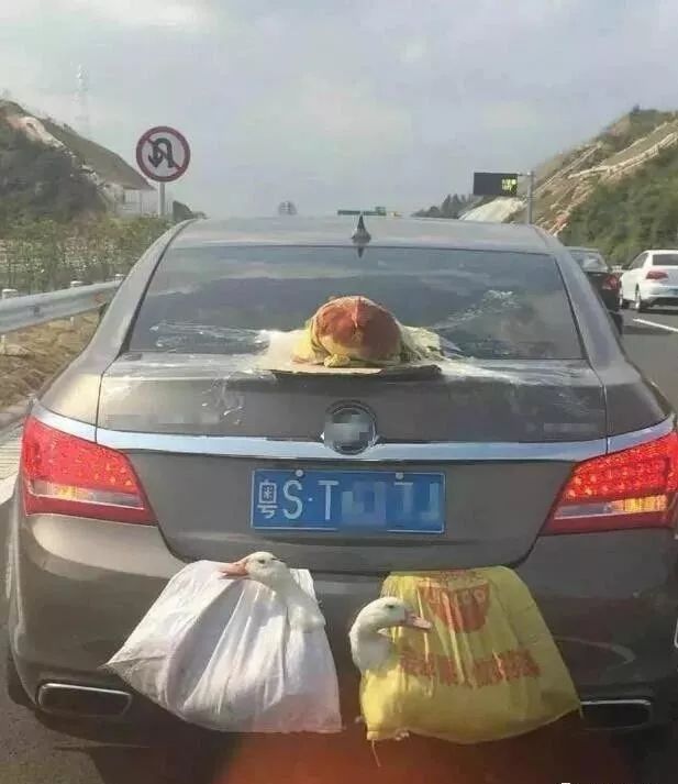 大赢家娱乐网 - 阿根廷终于也开始