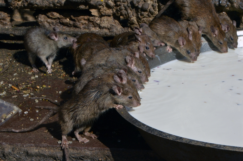 玩轉娛樂城必學：深度解析「返水意思」，讓你邊玩邊賺的隱形財富密碼！ 