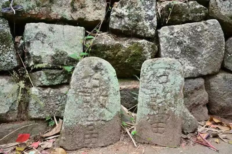 海口市龙华区龙桥镇王廷村石排名(大学)园林设计的文字敢当图片