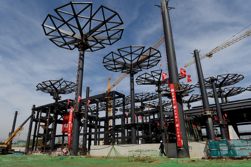 北京世园会国际馆钢铁花伞连成花海