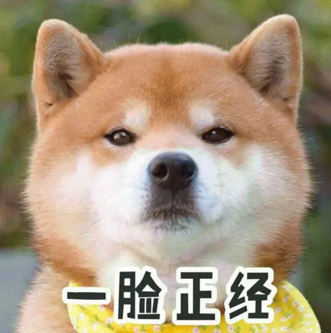 ˺·裬⻹ʶĿϵ»үү