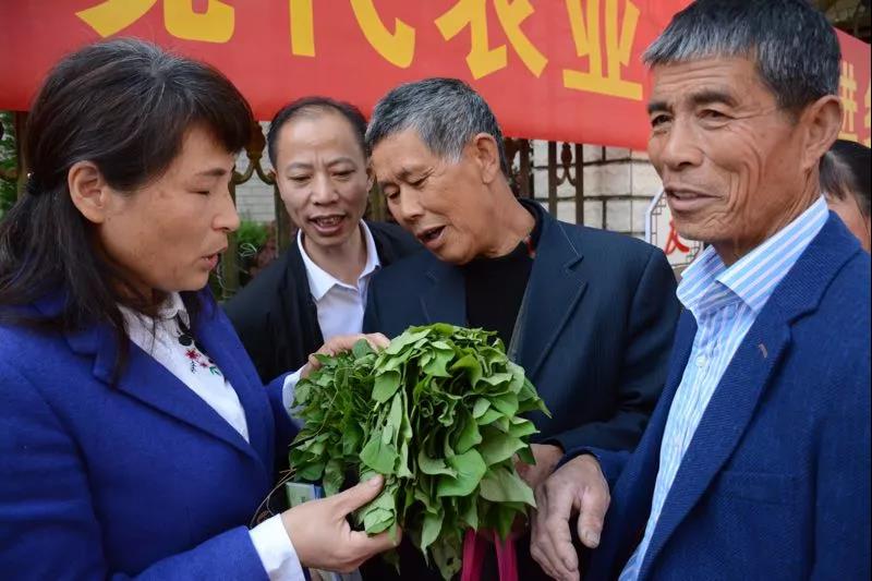 乡村振兴浙里寻|青田借力科技特派员 打响乡村