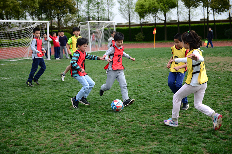 哈佛、斯坦福、麻省理工学院等美国大学课程将