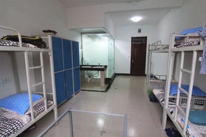 迎战山东新高考,这里有所擅长新高考和多元升