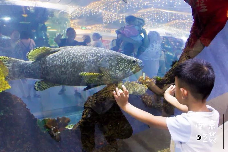 好吃到丧心病狂!被抖音刷上热门的雨花客厅,并