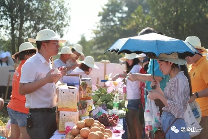 回到童年的稻田——丰收节来了！