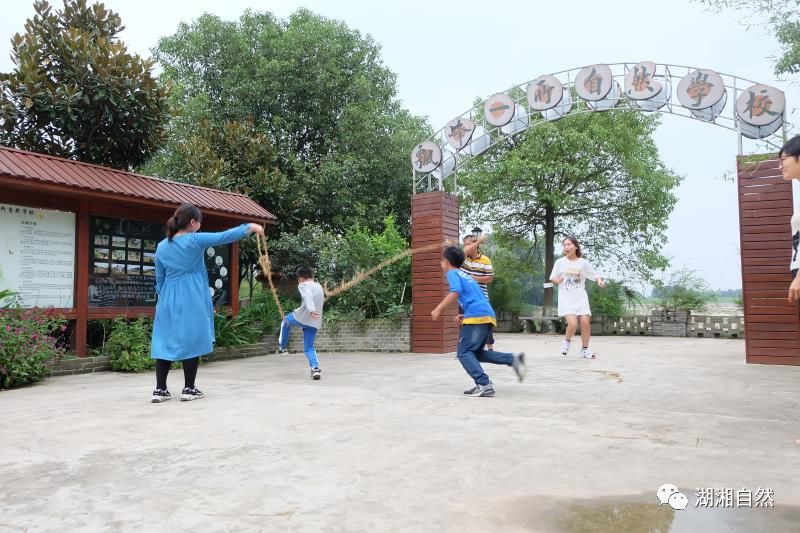 回到童年的稻田——丰收节来了！