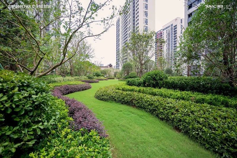 定了!又一重大国际赛事将在合肥举办,时间就在