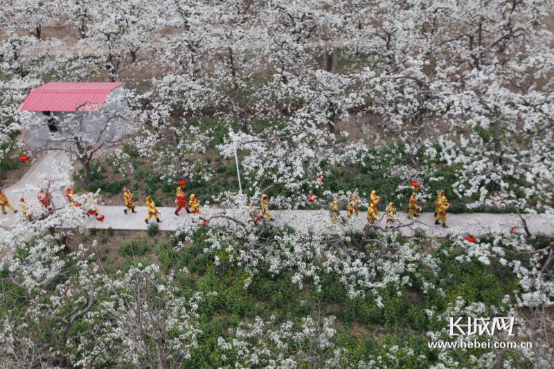 小梨花撬动大市场 赵县清明假期旅游收入突破8000万元