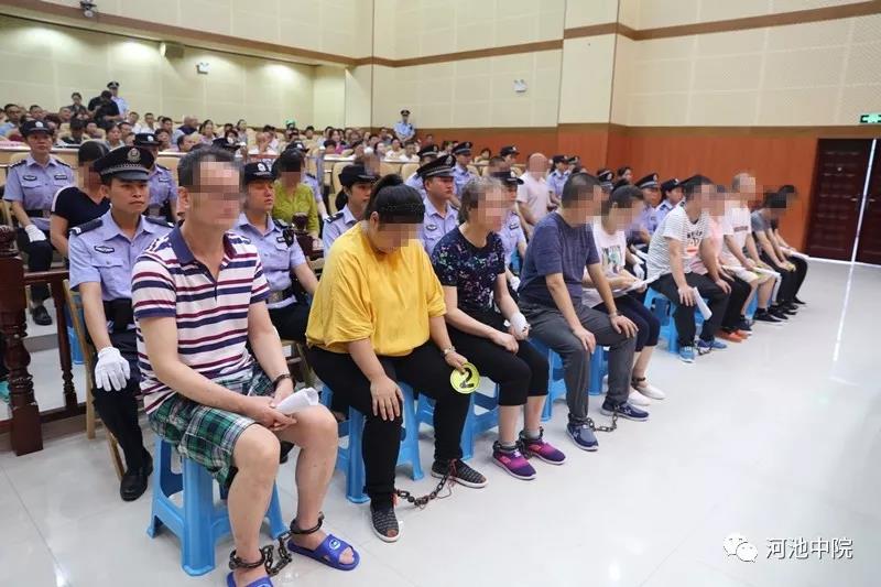 图片来自河池中院