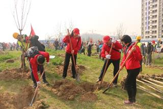 【创新港研究院内涵建设】材料科学与工程研究