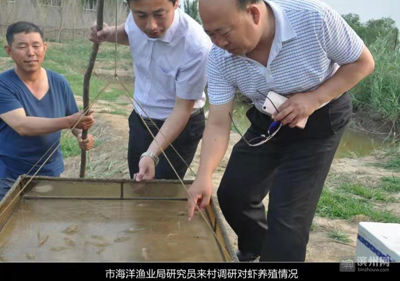 乡村振兴看乔庄王平村:兴产业 鼓腰包 提精神