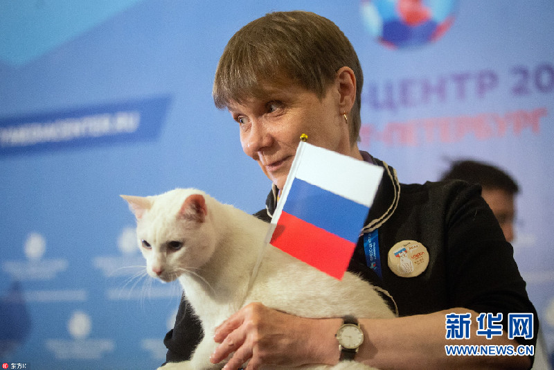 接班 章鱼保罗 冬宫失聪猫成为世界杯 官方预言