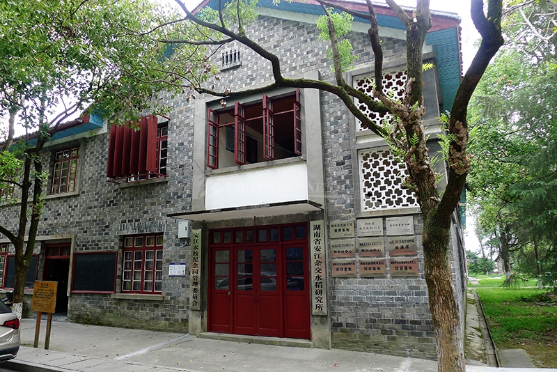 安江农校杂交水稻纪念园