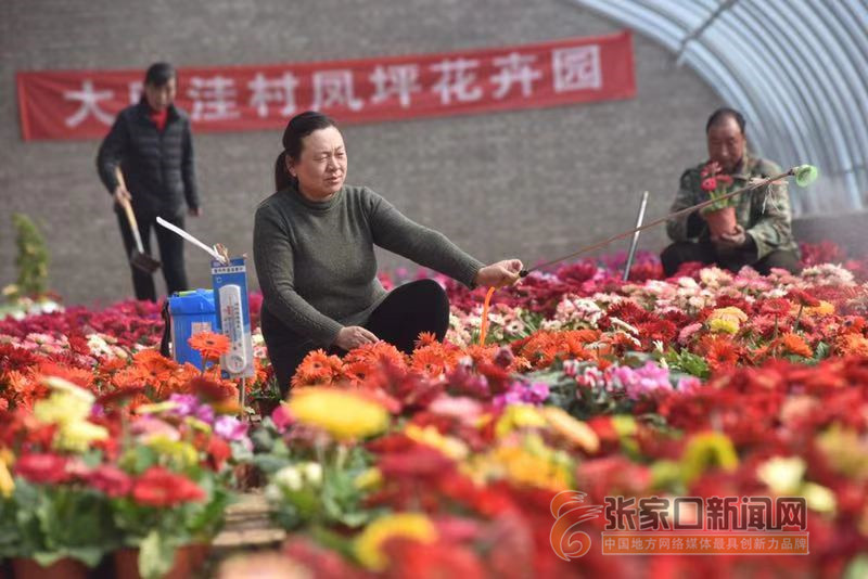 �ӱ���ԭ����ƶ����ӭ����