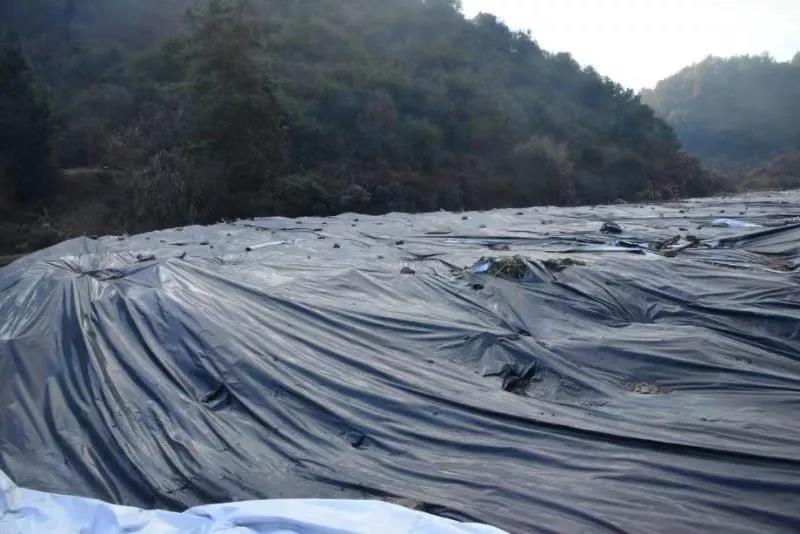 澳博下注官网|“星光中国芯工程”研发成果公布:未来将投资100亿元用于研发